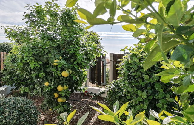 Atlantis Gardens - Foto 49