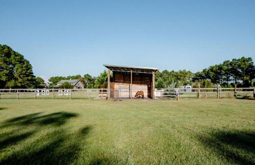 Fully Equipped Airstream Near the Beach and Perfect for a Glamping Experience in Fairhope, AL - Foto 6