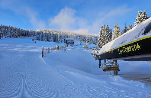 Domki Pod Lasem - Domek Brzozowy - Foto 46