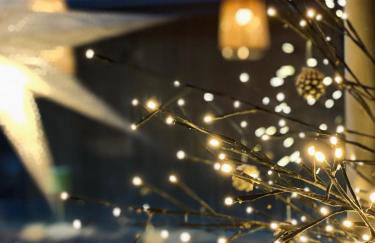 Na Jasieniu - Foto 18