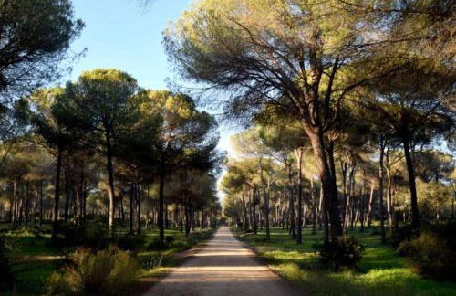 Suite en el corazón de Doñana - Foto 22