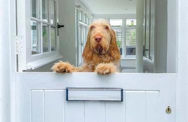 Little Buckley A peaceful family & dog-friendly retreat near Sidmouth - Foto 3