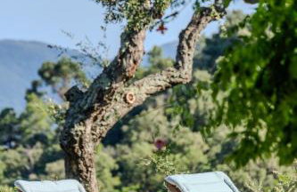 Mas provençal avec piscine chauffée, tennis, pétanque, vue mer, 20 min St Tropez - Foto 45