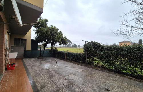 Moderno Home - Foto 18