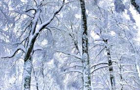 Le Case Nel Bosco Terminillo - Foto 68