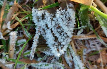 Landmanns Home - Foto 9