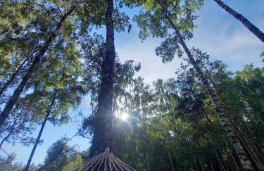 Sosnowa Odnowa - domek na Mazurach z sauną i balią - Foto 6