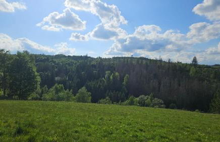 Harz DeLuxe in Altenau - Photo 22