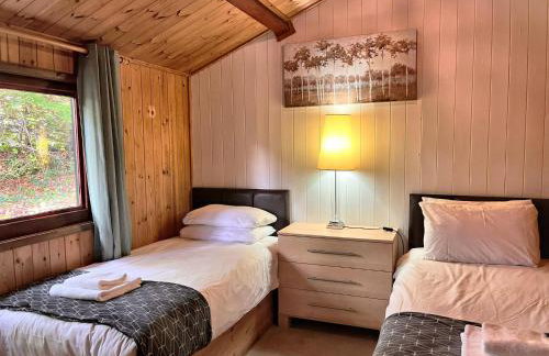 Snowdrop 13-Hot Tub-Woodlandlodges-Carmarthenshire - Foto 10