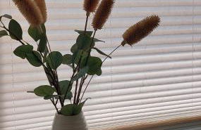 Am Quellenhäuschen - Foto 11