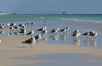 Beach Getaway 4BR Home Near Fort Walton Beach - Foto 29