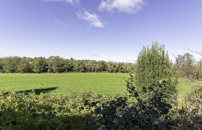 Italianway - Villa Visconta - Foto 46