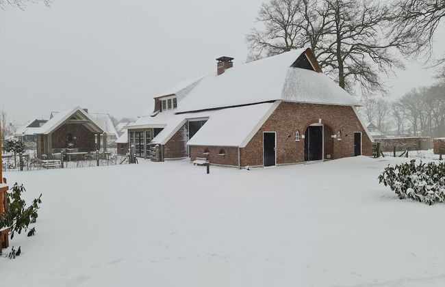 Charming Holiday Home in Nijverdal with Hot Tub - Foto 56