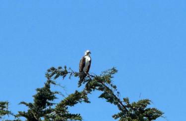 Ocean and Sunset Views - Cliff Side Cottage - Foto 22
