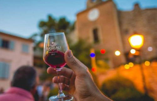 Maison de village 150 M2 au calme climatisée, piscine - Foto 41