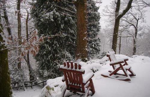 Blelham Tarn Rustic cabin in tranquil woodland - Foto 28