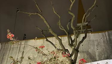 Apartamento acolhedor no centro da cidade, com pátio privado. - Photo 5