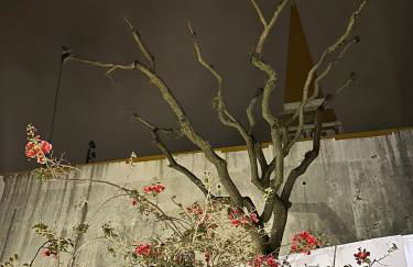 Apartamento acolhedor no centro da cidade, com pátio privado. - Photo 5