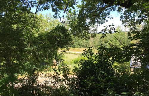 Bus atypique au bord du canal du midi et au cœur d'une forêt 2 chambres - Foto 37