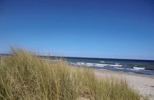 Strandliebe - Foto 16