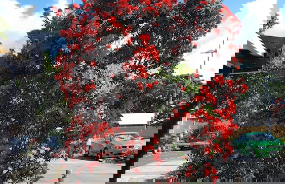 The Lighthouse - Photo 17