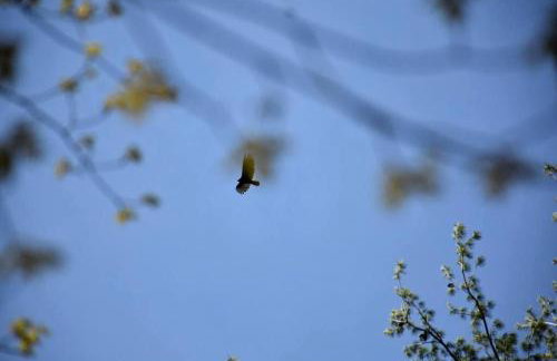 Your Perfect Getaway: Mountain Cabin Retreat with Hot Tub and Fireplace in Lisbon, NH - Foto 18