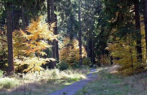 Relaxing Escape with Terrace - Foto 24