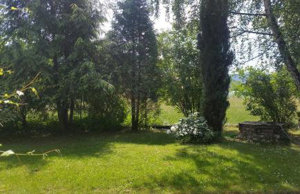 Świnna - Brzozowy Zagajnik - Foto 4