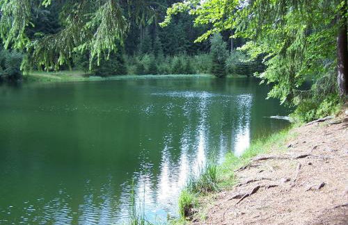 Exklusives Gruppenhaus mit home cinema - Foto 33