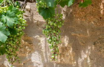 Mas Font- Nature Bike - Foto 48