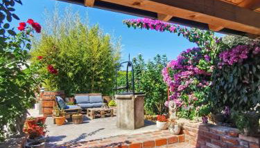 Rezidencija Galileja - Foto 4, Garden, Garden view