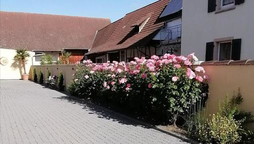 Dreiländereck-Ferienwohnung in Eschbach - Foto 2