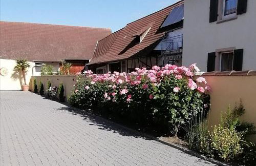 Dreiländereck-Ferienwohnung in Eschbach - Foto 2