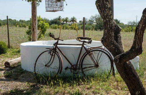 Pensão Agrícola - Foto 42