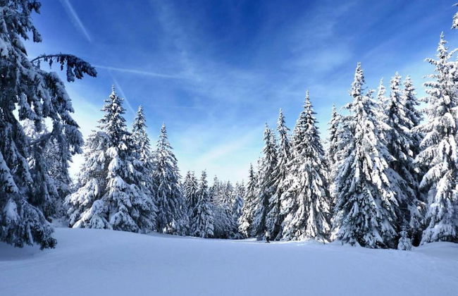 Chalet in La Bresse With Valley Views - Photo 22