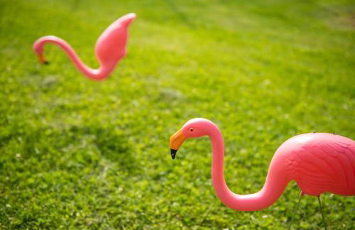 Complex Rural Can Caubet - Foto 92