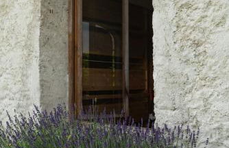 Fiori&vigne di Cecilia Marcon - Foto 41