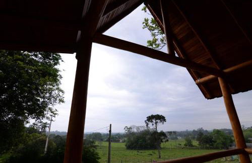 Casa na Árvore - Foto 12