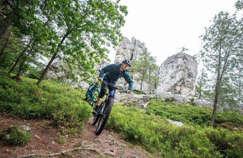 Ferienhaus Nr 25, Typ A, Feriendorf Jägerpark, Bayerischer Wald - Foto 18