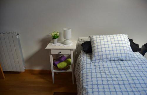 Apartamentos Portal de Ordesa - Photo 35