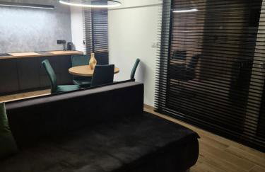 APARTAMENT Z PRYWATNYM GARAŻEM NARCIARSKA 14h - Foto 3