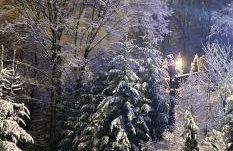 Apartament u Joli - Foto 24