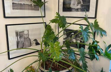 Private Luxury Open-Plan Barn Conversion - Photo 34