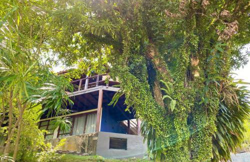 Casa Anavilhanas - Foto 50