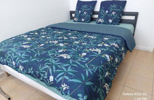 Duleing House - Foto 59