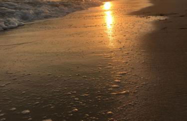 Betoniche Home - Foto 26