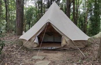 Associação Quinta das Relvas - Foto 75