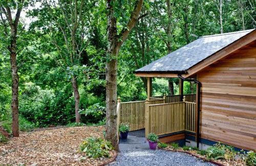 Cedar Lodge, South View Lodges, Exeter - Foto 32