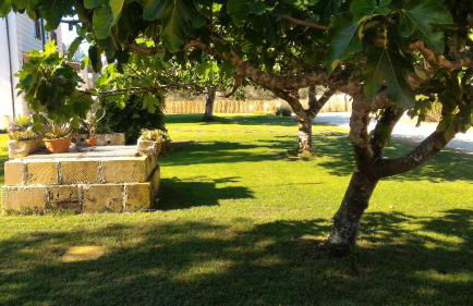 Masseria Vignenove - Foto 12