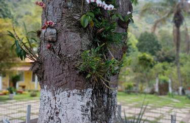 Recanto Verde - Foto 43